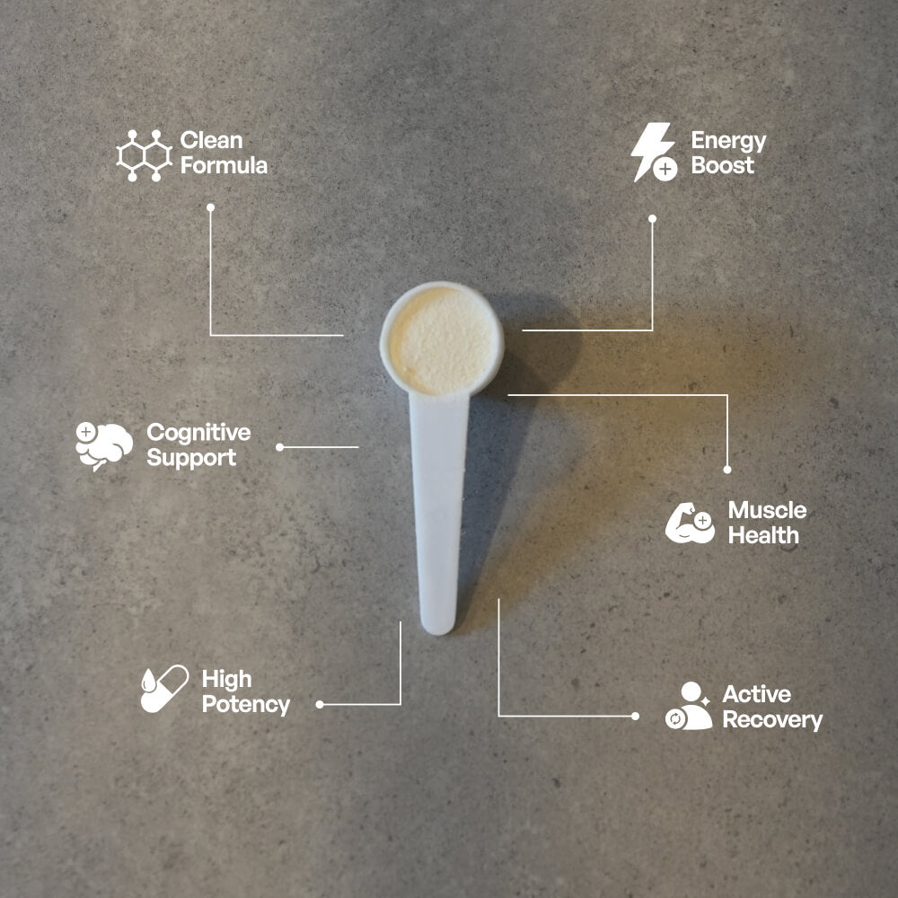 Creatine Monohydrate - Unflavoured