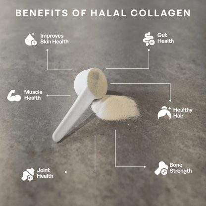 Halal Collagen Protein